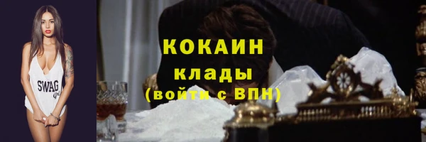 крисы Арсеньев