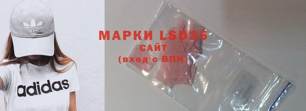прущие грибы Аркадак